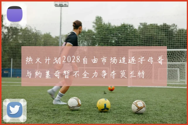 热火计划2028自由市场追逐字母哥与约基奇暂不全力争夺莫兰特