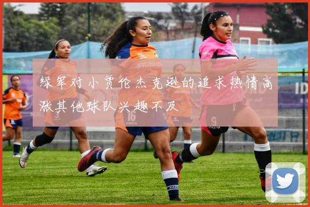 绿军对小贾伦杰克逊的追求热情高涨其他球队兴趣不及