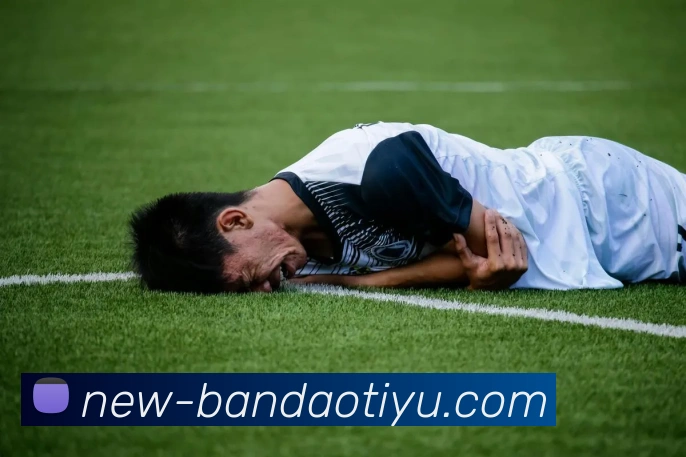 半岛体育平台生态图